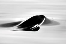 Load image into Gallery viewer, Surface Tension (B&amp;W)
